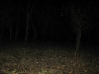 Chicago Ghost Hunters Group investigates Robinson Woods (106).JPG